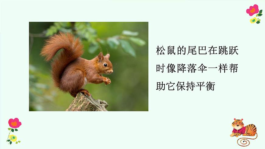 有趣的动物第8页