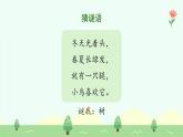 【新課標(biāo)】統(tǒng)編版（2024）語文二年級上冊  第二單元《樹之歌》課件（第1課時(shí)）（含視頻）+教案+字體
