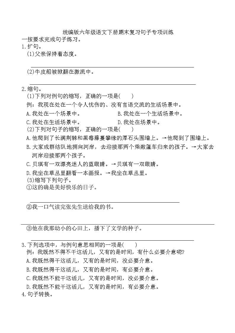 期末复习句子专项训练-2024-2025学年语文六年级下册统编版第1页