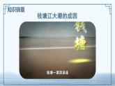部編版小學(xué)語文四年級上冊 1觀潮 課件+教案+練習(xí)