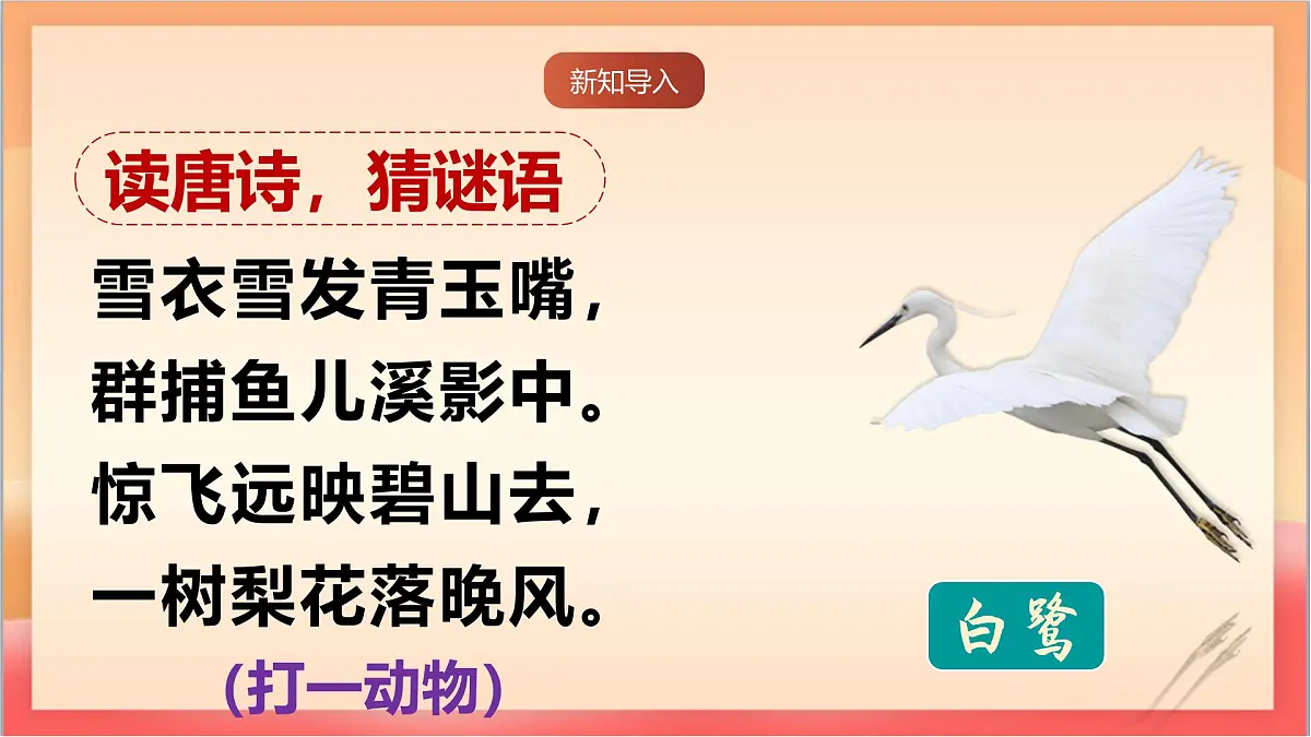 人教部编版语文五上第1课《白鹭 》第一课时 课件第3页