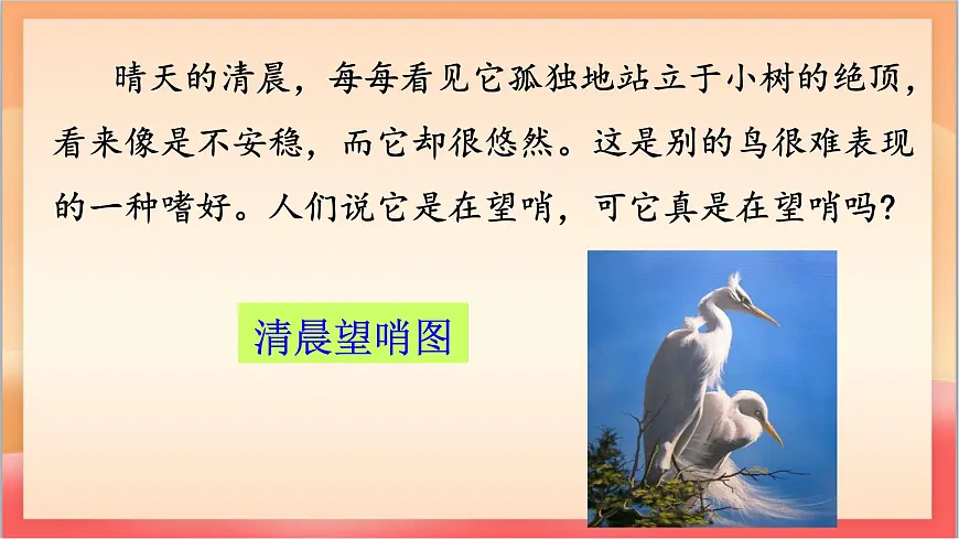 人教部编版语文五上第1课《白鹭 》第二课时 课件第5页