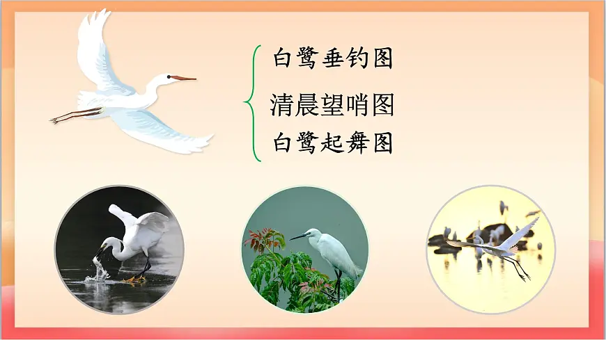人教部编版语文五上第1课《白鹭 》第二课时 课件第7页