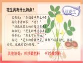 人教部編版語文五上第二課《花生》第二課時 課件+教案+分層練習(xí)