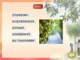 人教部編版語(yǔ)文五上第三課《桂花雨》第二課時(shí) 課件+教案+分層練習(xí)