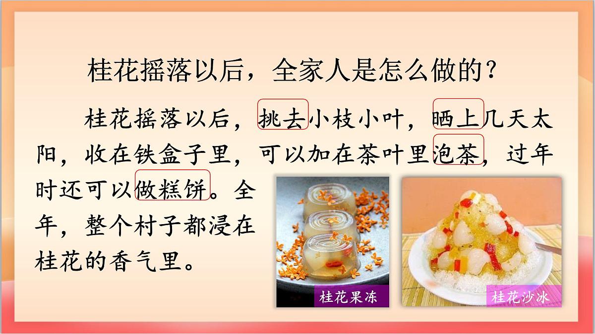人教部编版语文五上第3课《桂花雨》第二课时 课件第6页