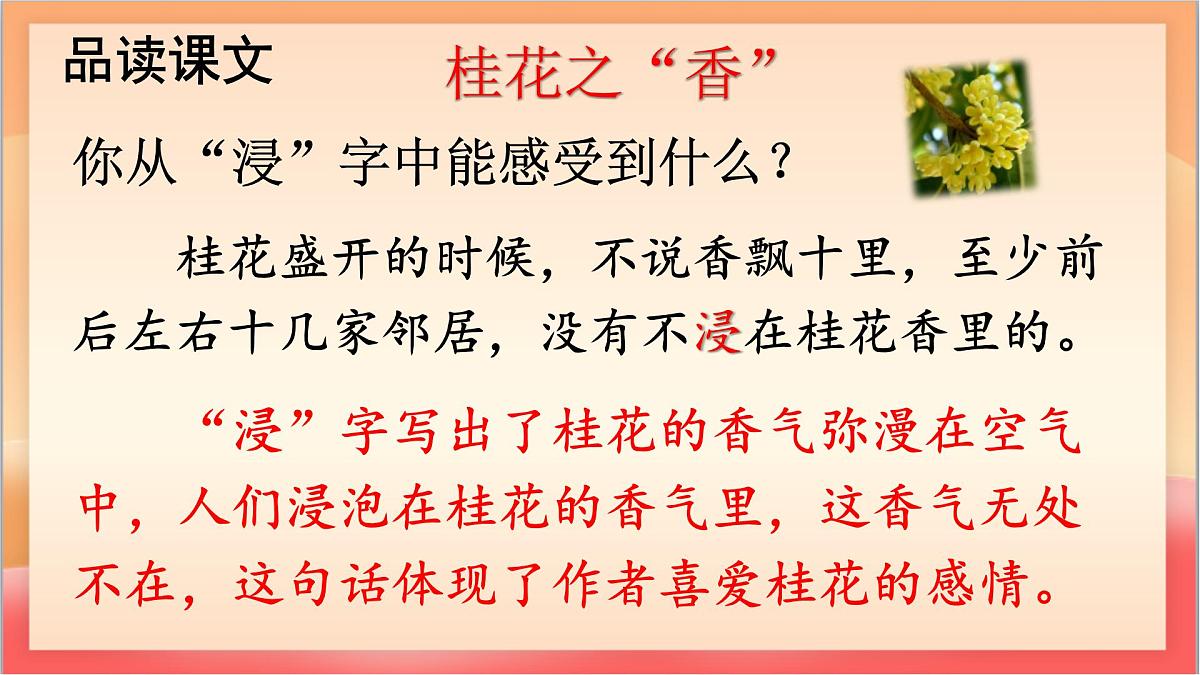 人教部编版语文五上第3课《桂花雨》第二课时 课件第7页