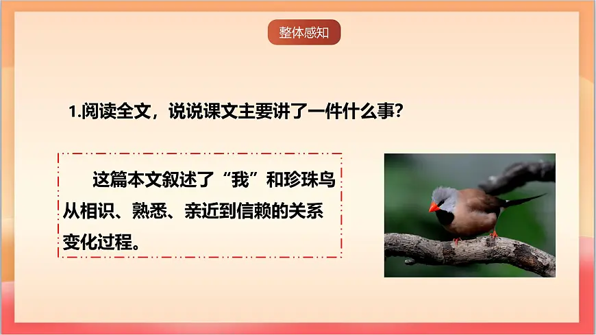 人教部编版语文五上第4课《珍珠鸟》课件第5页