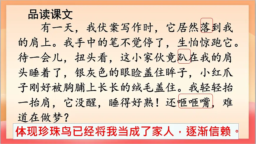 人教部编版语文五上第4课《珍珠鸟》课件第6页