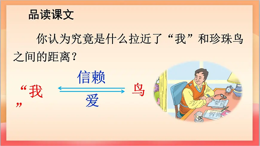 人教部编版语文五上第4课《珍珠鸟》课件第7页