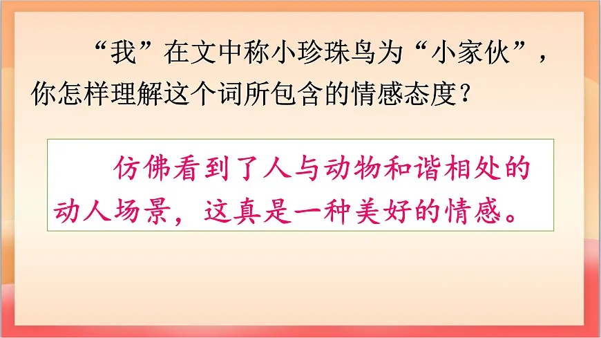 人教部编版语文五上第4课《珍珠鸟》课件第8页