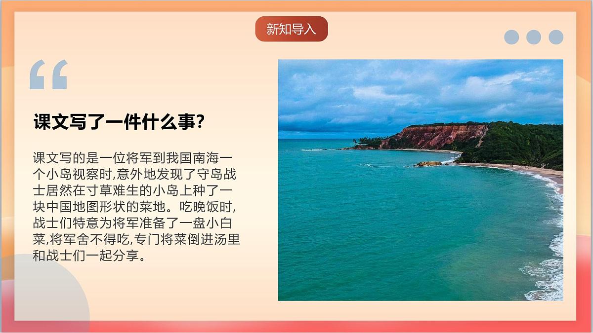 人教部编版语文五上第15课《小岛》教学设计 课件第3页
