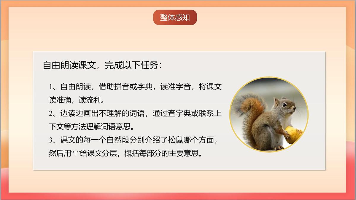 人教部编版语文五上第17课《松鼠》第一课时 课件第6页