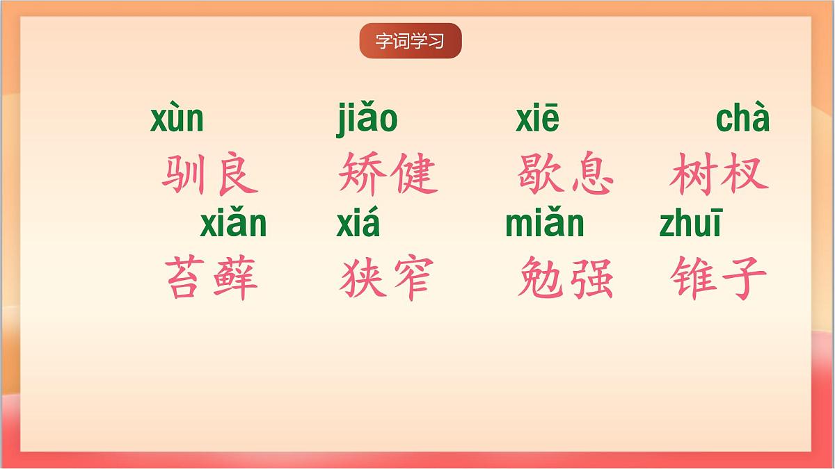 人教部编版语文五上第17课《松鼠》第一课时 课件第7页