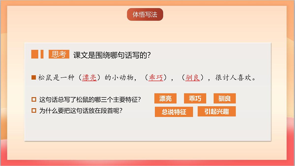 人教部编版语文五上第17课《松鼠》第二课时 课件第2页