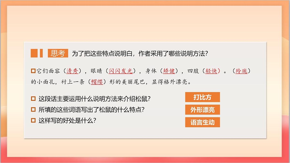 人教部编版语文五上第17课《松鼠》第二课时 课件第3页