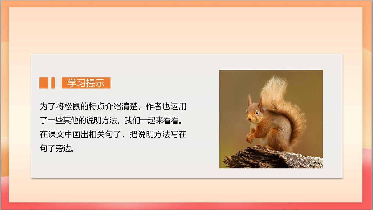 人教部编版语文五上第17课《松鼠》第二课时 课件第4页