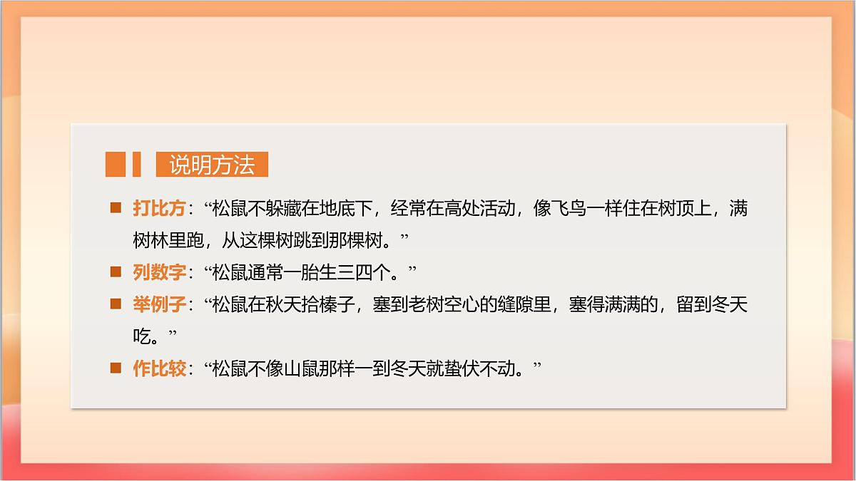 人教部编版语文五上第17课《松鼠》第二课时 课件第5页