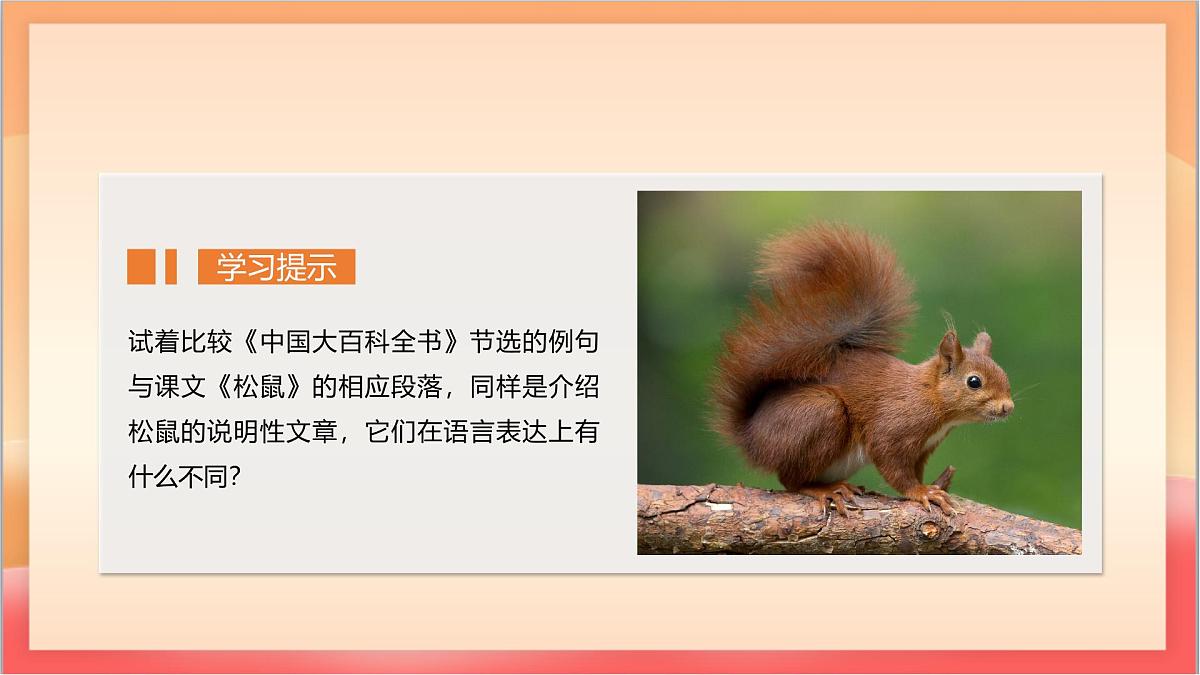 人教部编版语文五上第17课《松鼠》第二课时 课件第8页