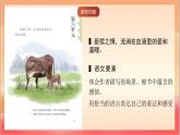 人教部編版語文五上第一十八課《慈母情深》第一課時 課件+教案+分層練習(xí)+素材