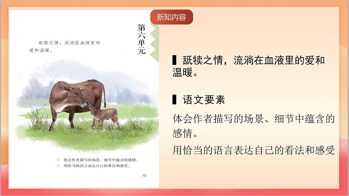 人教部编版语文五上第18课《慈母情深》第一课时 课件第2页