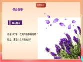 人教部編版語文五上第一十八課《慈母情深》第二課時 課件+教案+分層練習(xí)