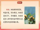 人教部編版語文五上第一十九課《父愛之舟》第一課時 課件+教案+分層練習+素材