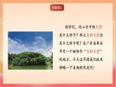 人教部編版語文五上第二十二課《鳥的天堂》第一課時 課件+教案+分層練習+素材