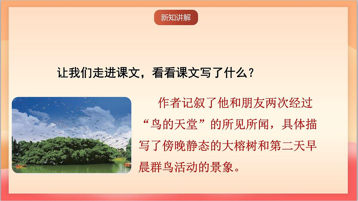 人教部编版语文五上第22课《鸟的天堂》第二课时 课件第5页