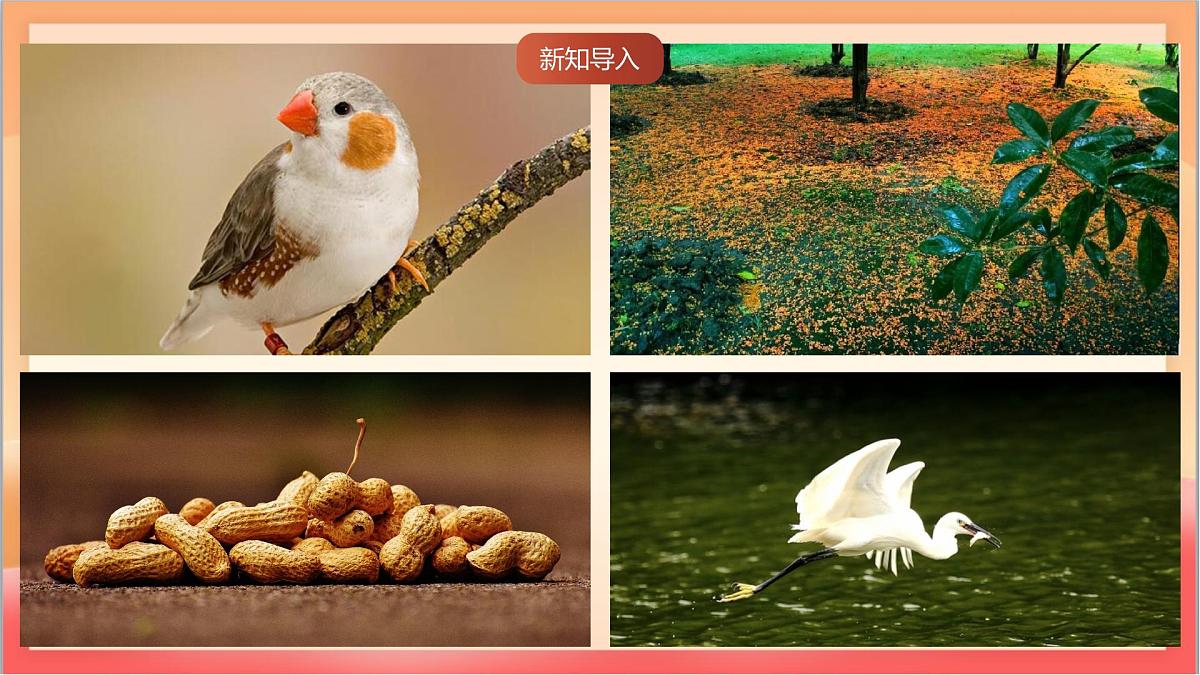 人教部编版语文五上第一单元《 语文园地一 》课件第2页