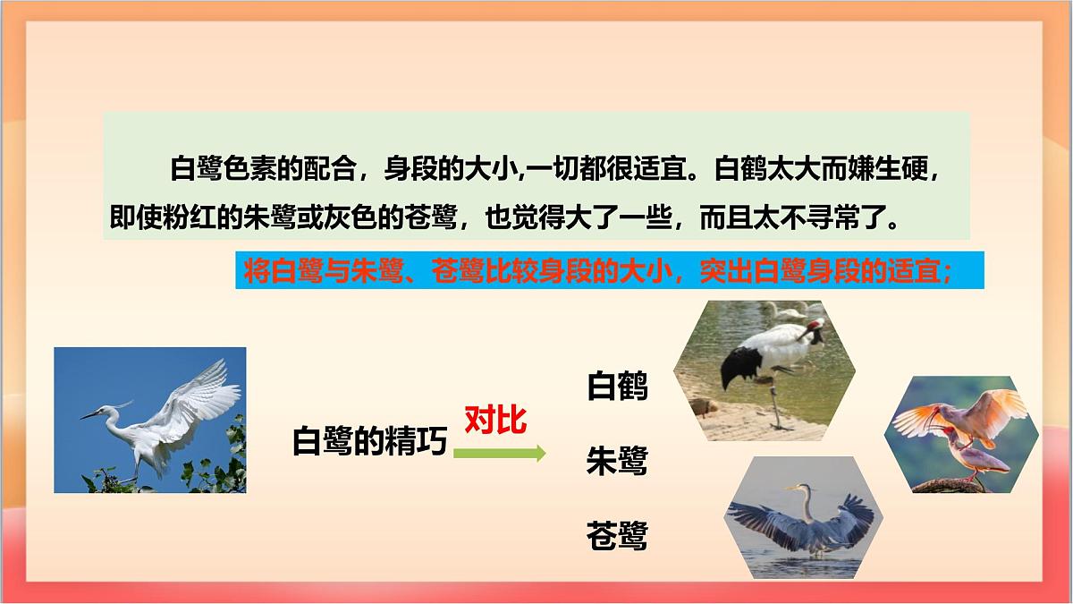 人教部编版语文五上第一单元《 语文园地一 》课件第8页