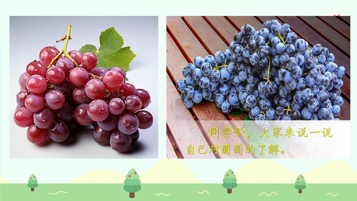 葡萄沟（第1课时）第5页