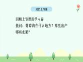 【新課標(biāo)】統(tǒng)編版（2024）語文二年級(jí)上冊(cè)  第四單元《葡萄溝》課件（第2課時(shí)）含課堂練習(xí)課后習(xí)題+教案+教學(xué)反思+說課稿+字體