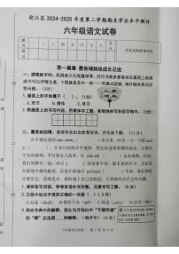 安徽省安庆市迎江区2024-2025学年第二学期六年级语文期末试卷（无答案）