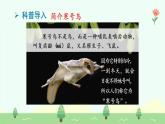 【新課標(biāo)】統(tǒng)編版（2024）語(yǔ)文二年級(jí)上冊(cè)  第五單元《寒號(hào)鳥》課件（第1課時(shí)）（含視頻）+教案+字體