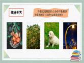 2025-2026學(xué)年度統(tǒng)編版語(yǔ)文三年級(jí)上冊(cè)第五單元習(xí)作：我們眼中的繽紛世界（課件）