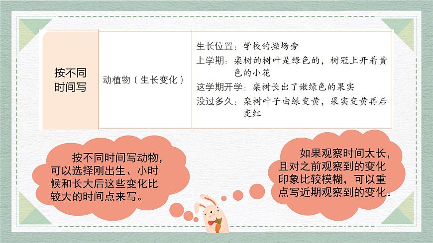 2025-2026学年度统编版语文三年级上册第五单元习作：我们眼中的缤纷世界（课件）第7页