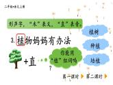 3.植物媽媽有辦法（課件）2025-2026學年統(tǒng)編版二年級語文上冊