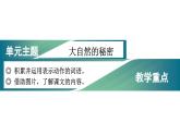 統(tǒng)編版（2024）語(yǔ)文二年級(jí)上冊(cè) 1 小蝌蚪找媽媽?zhuān)ㄕn件+教案）