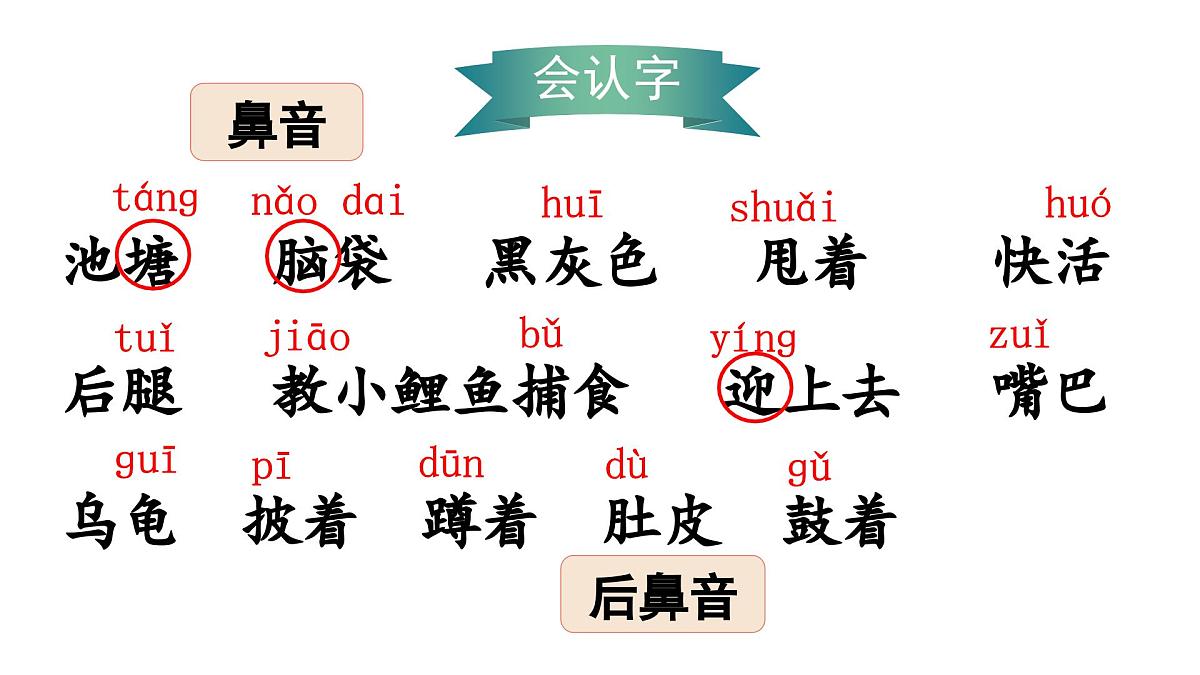 （教学课件）1.小蝌蚪找妈妈第5页