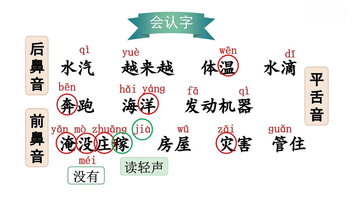 （教学课件）2.我是什么第4页