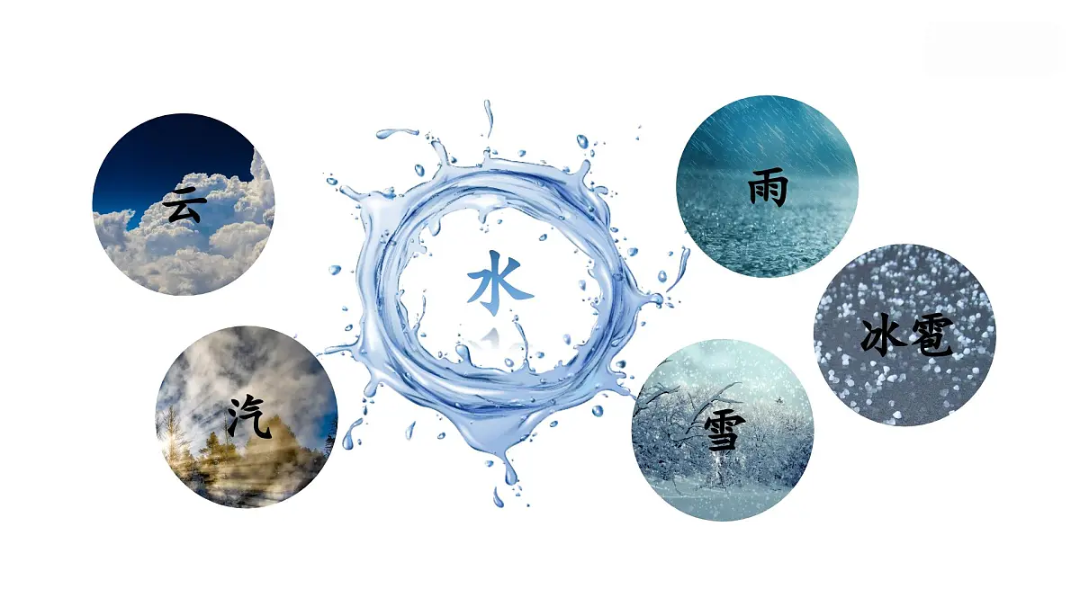 （教学课件）2.我是什么第8页