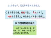 語文園地一（課件）2025-2026學(xué)年統(tǒng)編版三年級語文上冊