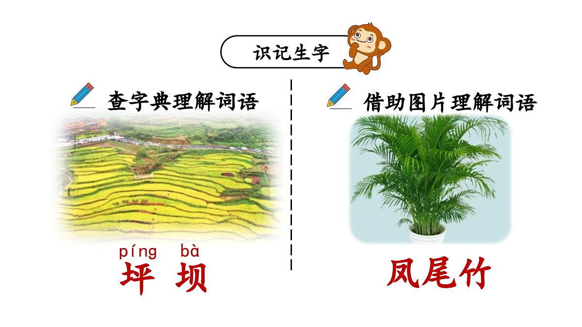 1 大青树下的小学（课件）2025-2026学年统编版三年级语文上册第6页