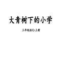 統(tǒng)編版（2024）語文三年級上冊 1 大青樹下的小學(xué)（課件+教案）