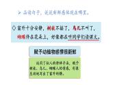 統(tǒng)編版（2024）語文三年級上冊 第一單元 語文園地一（課件+教案）