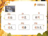 人教版（2024）三年級(jí)語(yǔ)文上冊(cè)課件 第二單元 5《鋪滿金色巴掌的水泥道》