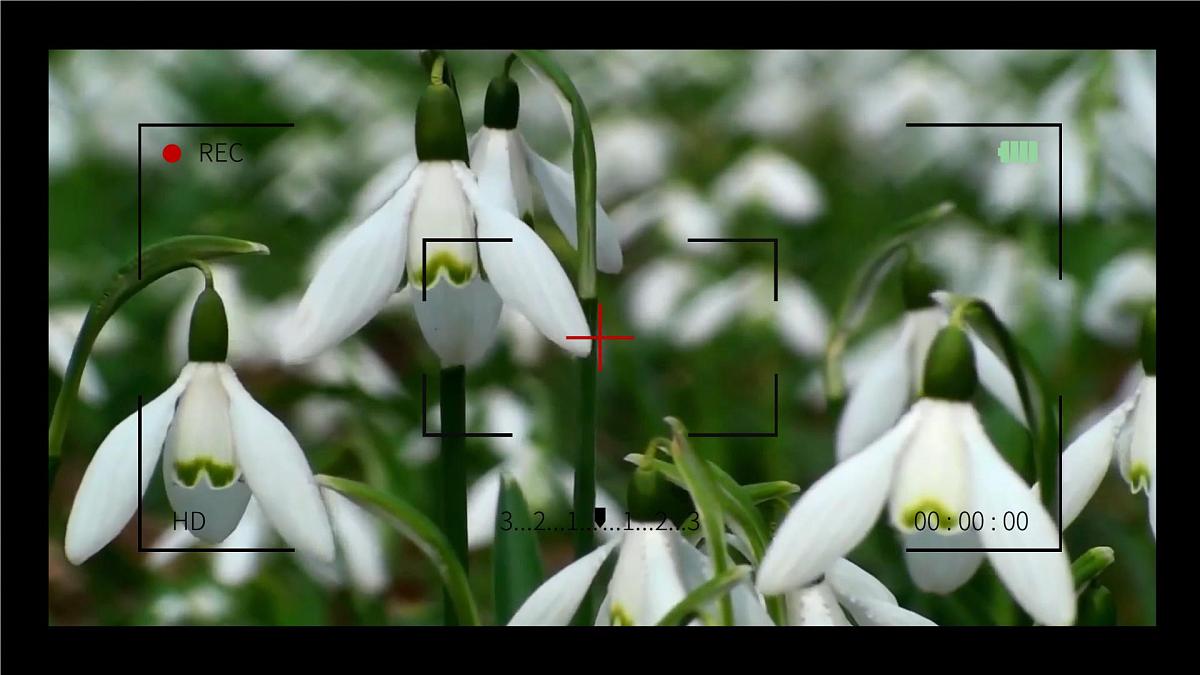 【教学课件】2.7《听听秋的声音》第1页