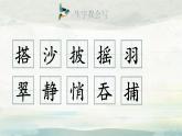 人教版（2024）三年級語文上冊課件 第五單元 14《搭船的鳥》