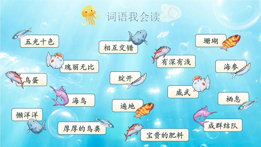 【教学课件】6.16《富饶的西沙群岛》第4页